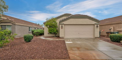 23606 N El Frio Court, Sun City