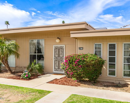 10060 W Royal Oak Road Unit L, Sun City