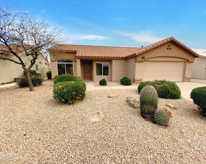 22027 N Las Brizas Lane, Sun City West