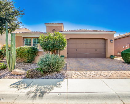 1437 E Elysian Pass, San Tan Valley