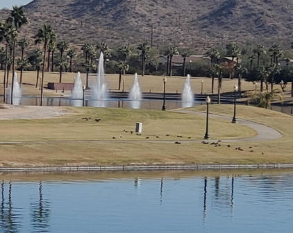 10327 S Santa Fe Lane, Goodyear