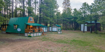 1053 Pond Circle, Forest Lakes