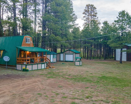 1053 Pond Circle, Forest Lakes
