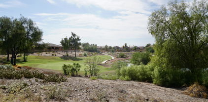 11564 W Mule Deer Court, Surprise