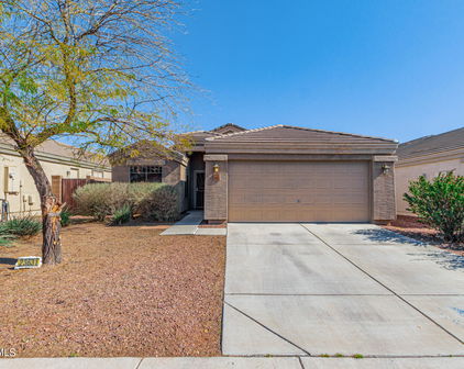 23631 N El Frio Court, Sun City