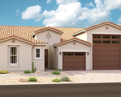 11014 W Buchanan Street, Avondale