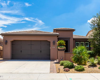 1421 E Elysian Pass, San Tan Valley