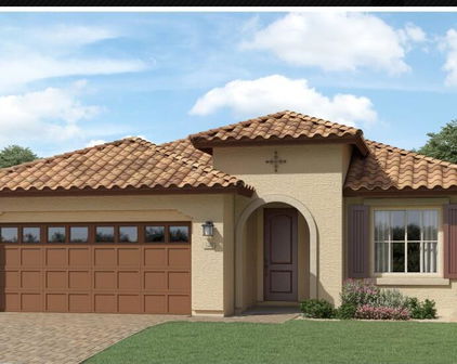 25128 N 173rd Drive, Surprise