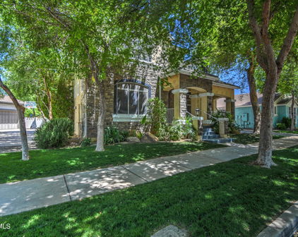2974 E Camellia Drive, Gilbert