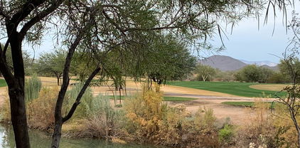 33575 N Dove Lakes Drive Unit 1013, Cave Creek