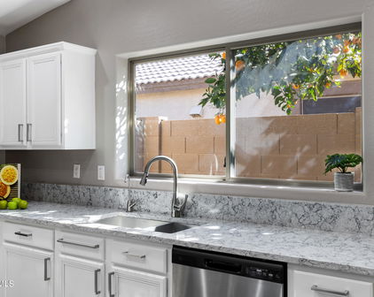 21303 E Via Del Palo --, Queen Creek