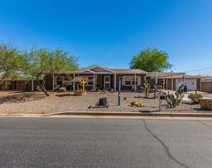 10833 W Palm Tree Drive, Sun City