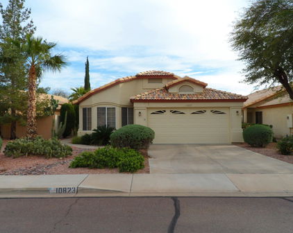 10823 W Ventana Drive E, Sun City