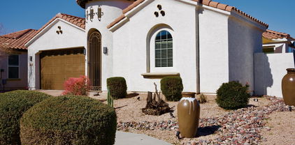 22262 E Via De Olivos Court, Queen Creek