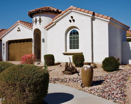 22262 E Via De Olivos Court, Queen Creek