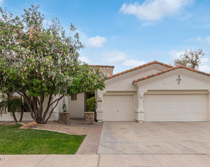 4522 S Wildflower Place, Chandler