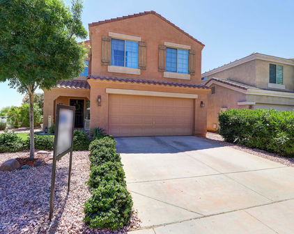 23945 N Pablo Court N, Sun City