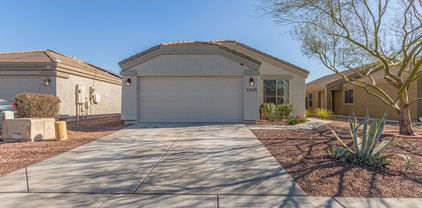 23625 N El Frio Court, Sun City