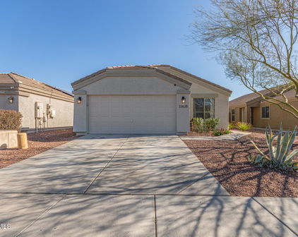 23625 N El Frio Court, Sun City
