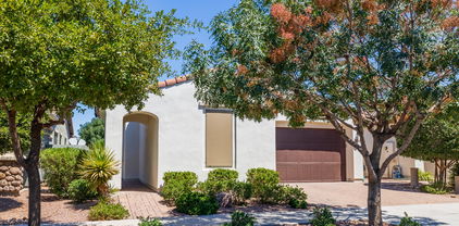 10114 E Tiger Lily Avenue, Mesa
