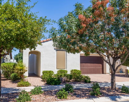 10114 E Tiger Lily Avenue, Mesa