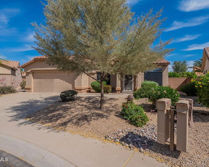 22220 N Las Brizas Lane, Sun City West