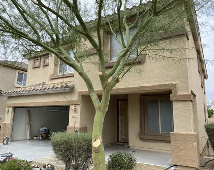 4008 E Crimson Terrace, Cave Creek