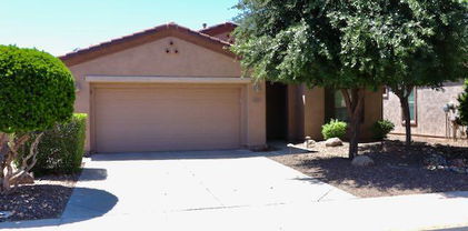 4747 E Narrowleaf Drive, Gilbert