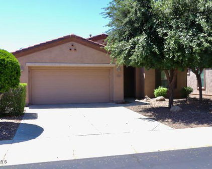 4747 E Narrowleaf Drive, Gilbert
