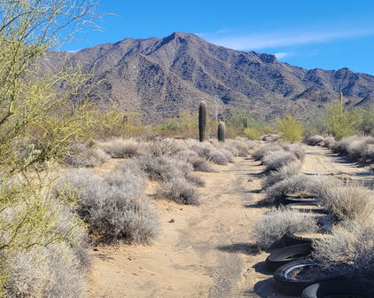 W Ocotillo Road, Buckeye