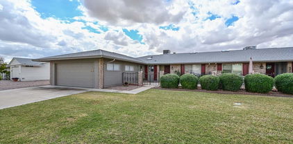 10317 W Desert Forest Circle, Sun City