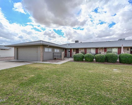 10317 W Desert Forest Circle, Sun City