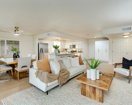 10430 E Chestnut Drive, Sun Lakes