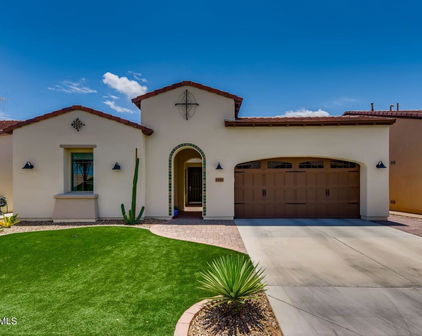 1387 E Elysian Pass, San Tan Valley