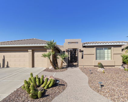 23904 S Stoney Path Drive, Sun Lakes