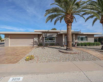 9215 W Raintree Drive, Sun City