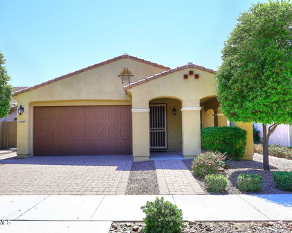 10065 E Tiger Lily Avenue, Mesa