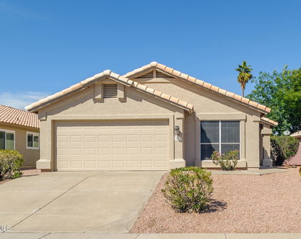 6176 W Blackhawk Drive, Glendale