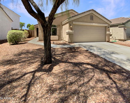 23448 N El Frio Court, Sun City