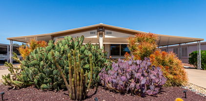 26240 S Cholla Court, Sun Lakes