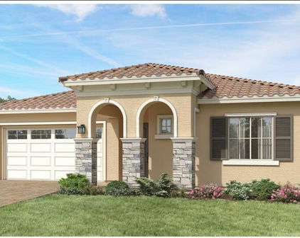 24498 N 173rd Lane, Surprise