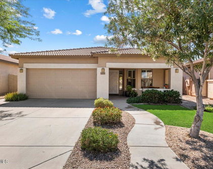 21345 E Via Del Palo --, Queen Creek
