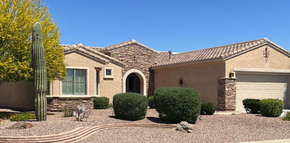 19225 N Tallowood Way, Surprise