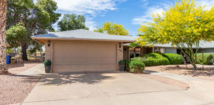 5017 E Mesquite Wood Court, Phoenix