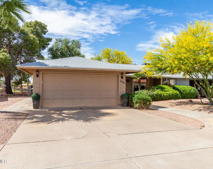 5017 E Mesquite Wood Court, Phoenix