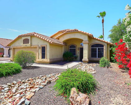 10974 S Dreamy Drive, Goodyear