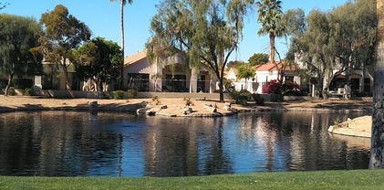 4608 N Desert Stream Way, Litchfield Park