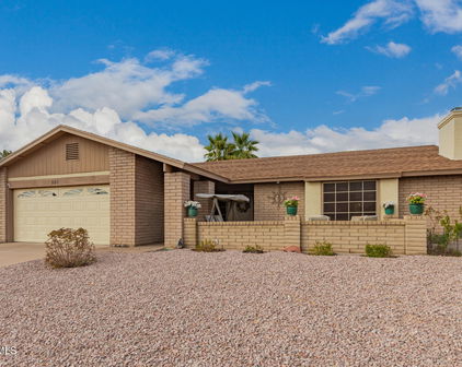 980 Leisure World --, Mesa