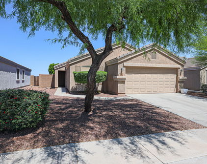 23733 N El Frio Court, Sun City