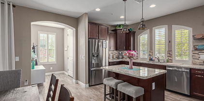 20539 W Terrace Lane, Buckeye